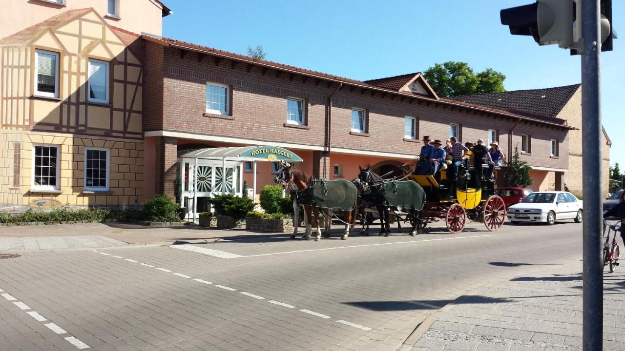 Haegert * Neustrelitz